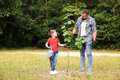 Photo of Father and his son planting tree into soil outdoors, space for text