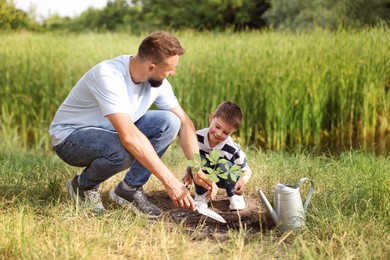 Photo of Father and his son planting tree into soil outdoors