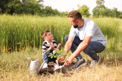 Photo of Father and his son planting tree into soil outdoors