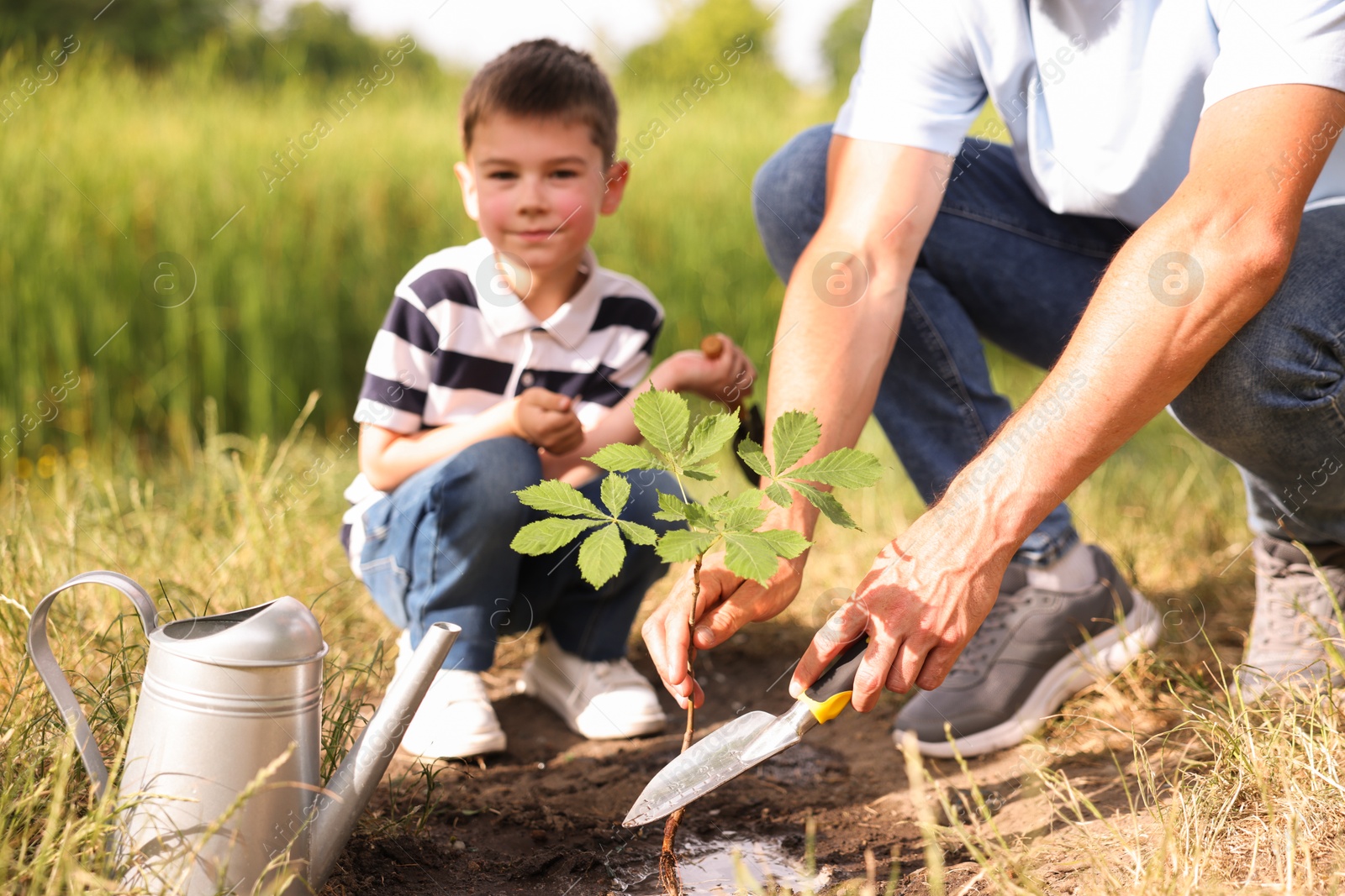 Father and his son planting tree into soil outdoors, closeup Photo of Father and his son planting tree into soil outdoors, closeup