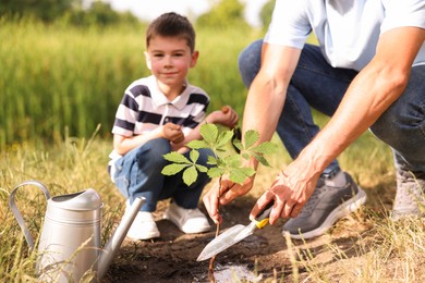 Photo of Father and his son planting tree into soil outdoors, closeup
