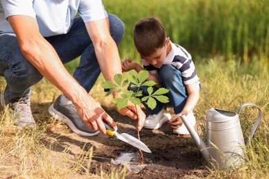 Photo of Father and his son planting tree into soil outdoors, closeup