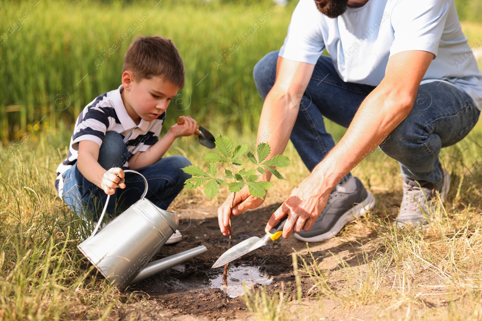 Photo of Father and his son planting tree into soil outdoors, closeup