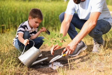 Photo of Father and his son planting tree into soil outdoors, closeup