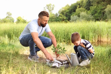 Photo of Father and his son planting tree into soil outdoors