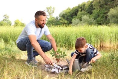 Photo of Father and his son planting tree into soil outdoors