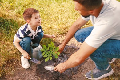 Photo of Father and his son planting tree into soil outdoors, closeup