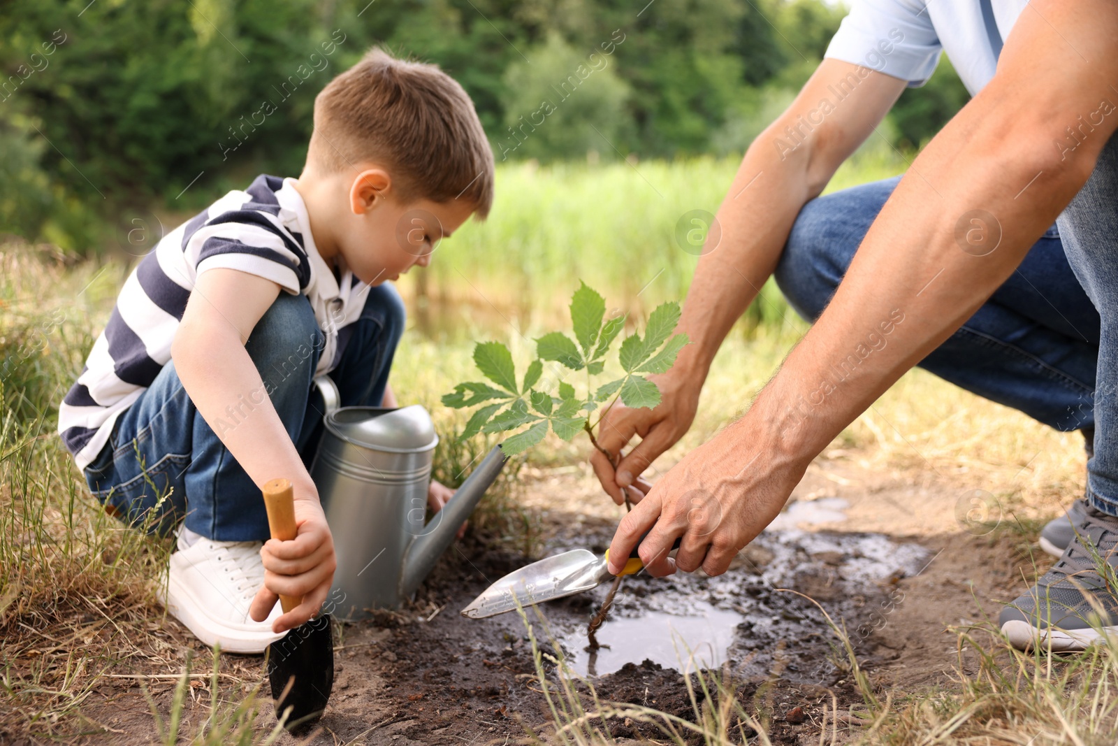 Photo of Father and his son planting tree into soil outdoors, closeup