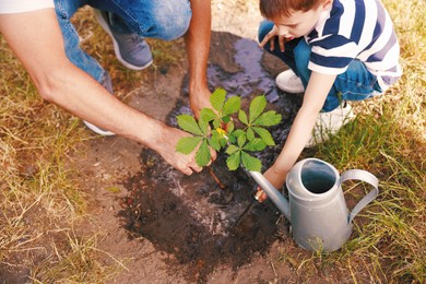 Photo of Father and his son planting tree into soil outdoors, closeup