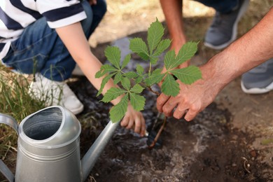 Photo of Father and his son planting tree into soil outdoors, closeup