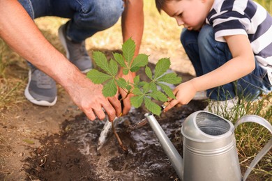 Photo of Father and his son planting tree into soil outdoors, closeup
