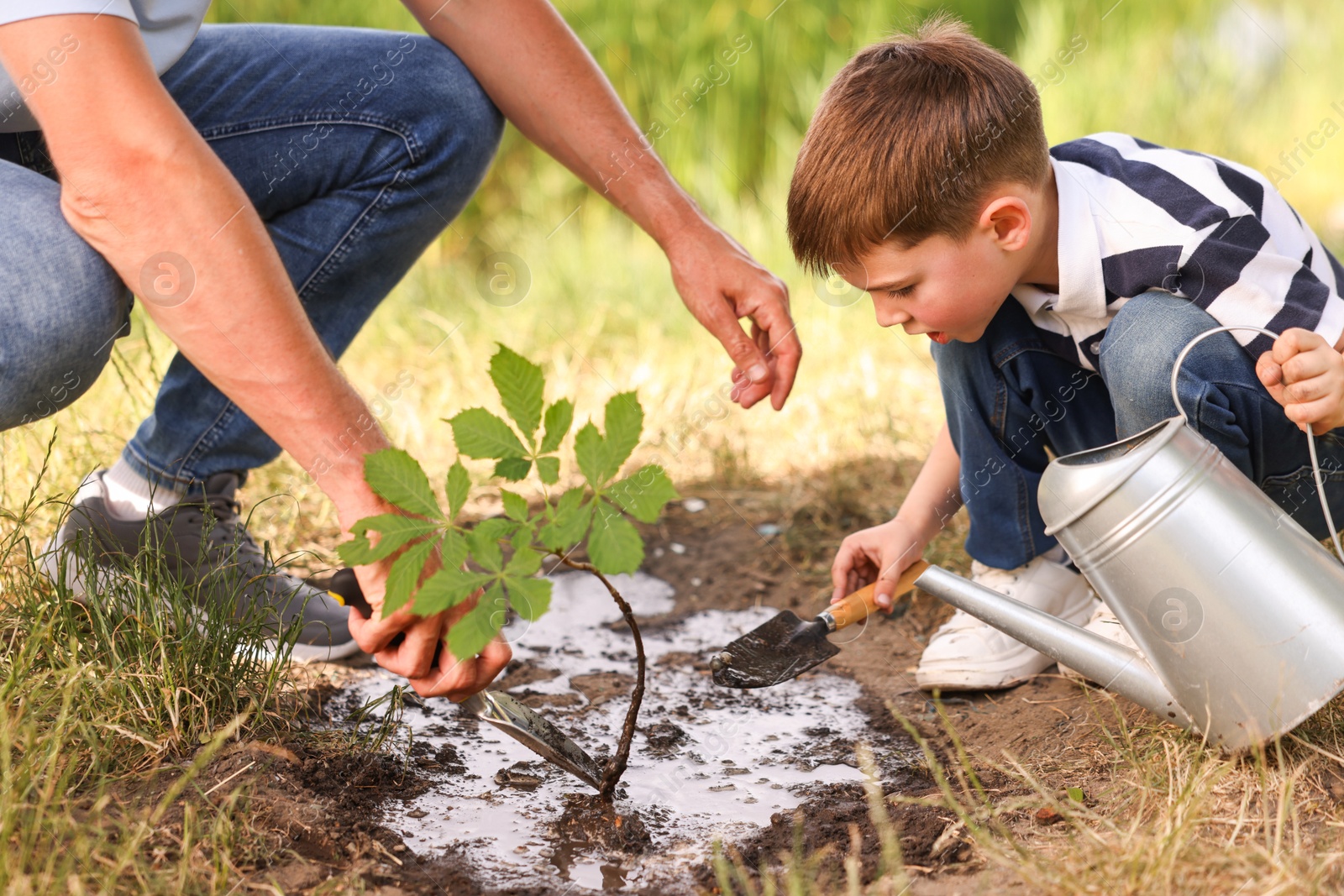 Father and his son planting tree into soil outdoors, closeup Photo of Father and his son planting tree into soil outdoors, closeup
