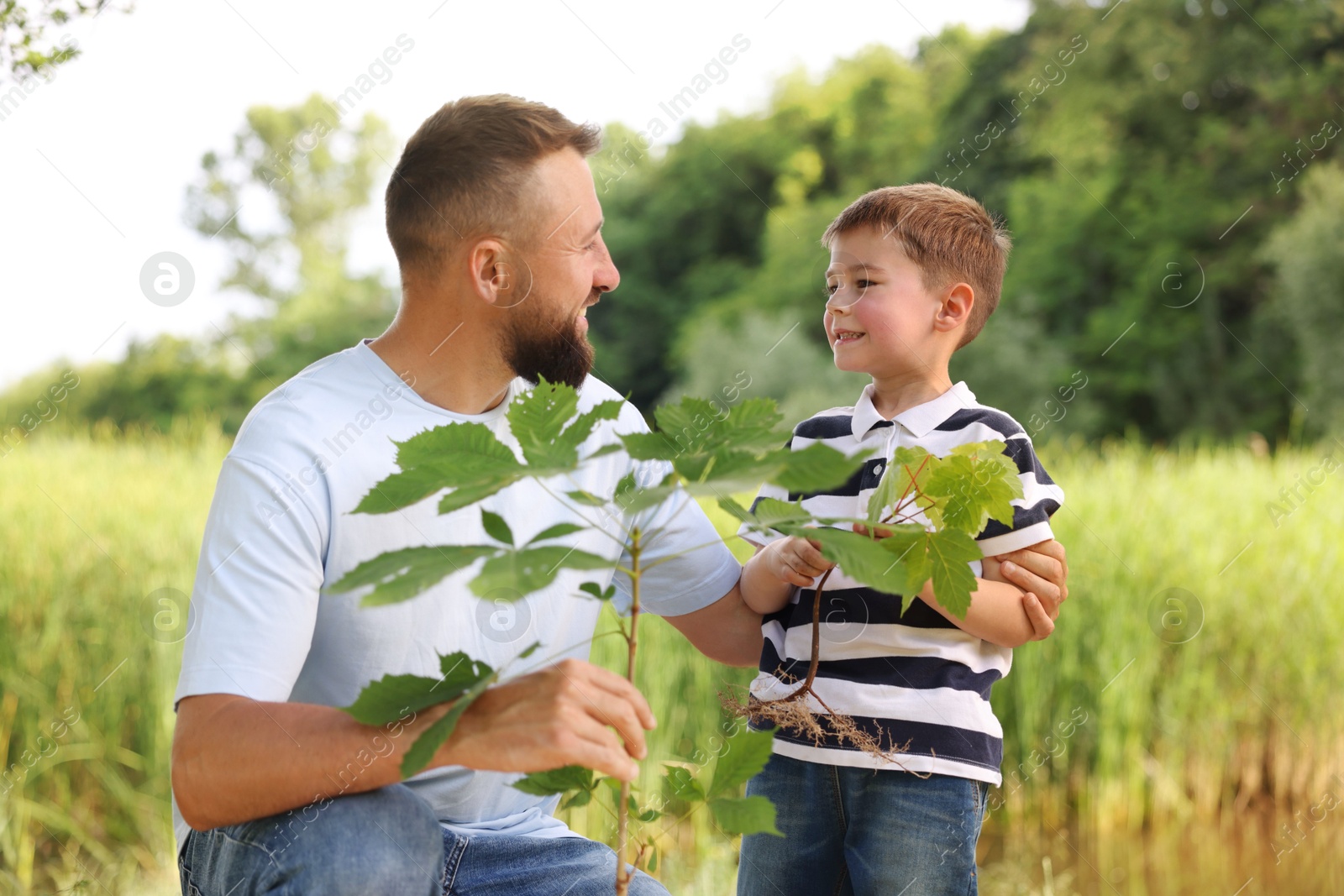 Father and his son planting tree outdoors Photo of Father and his son planting tree outdoors
