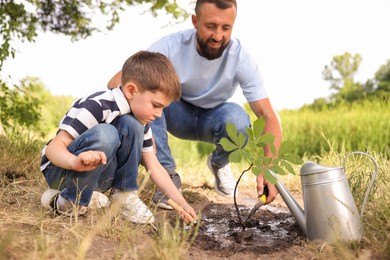 Photo of Father and his son planting tree into soil outdoors