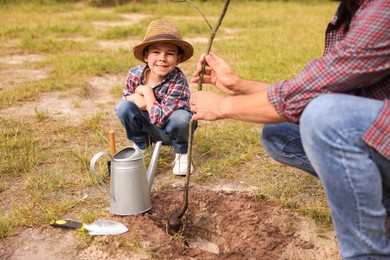 Photo of Father and his son planting tree into soil outdoors, closeup