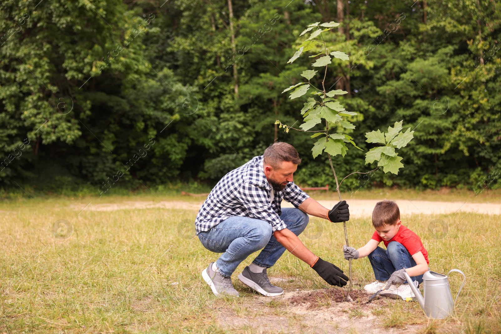Father and his son planting tree into soil outdoors Photo of Father and his son planting tree into soil outdoors