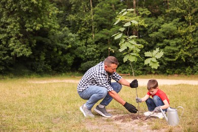 Photo of Father and his son planting tree into soil outdoors