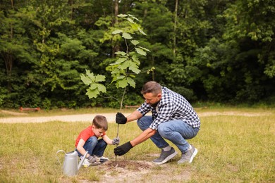 Photo of Father and his son planting tree into soil outdoors