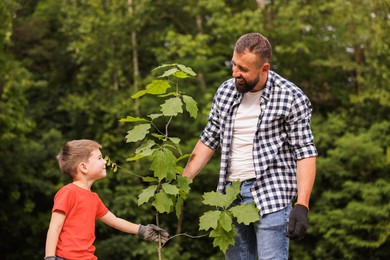 Photo of Father and his son planting tree outdoors