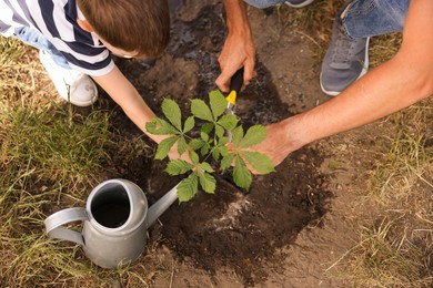 Photo of Father and his son planting tree into soil outdoors, closeup