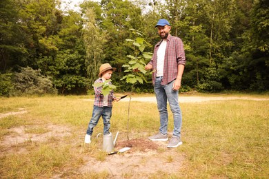 Photo of Father and his son planting tree into soil outdoors