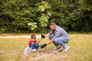 Photo of Father and his son planting tree into soil outdoors