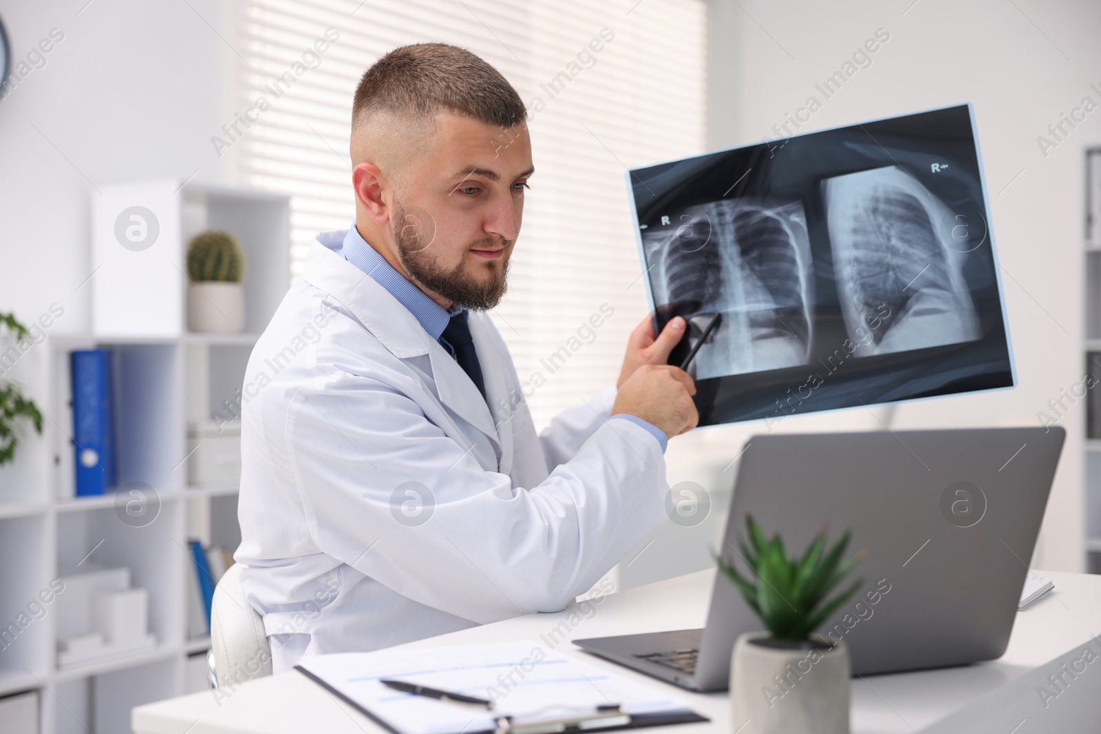 Doctor with lung MRI scan having online consultation via laptop in clinic Photo of Doctor with lung MRI scan having online consultation via laptop in clinic