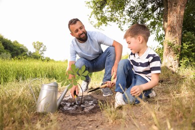 Photo of Father and his son planting tree into soil outdoors