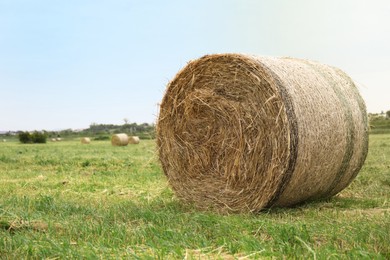 Photo of Hay bale on green grass in field. Space for text