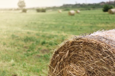 Photo of Hay bale on green grass in field, closeup. Space for text