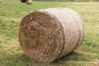 Photo of Hay bale on green grass in field