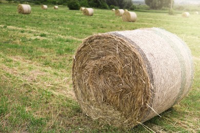 Photo of Hay bale on green grass in field. Space for text