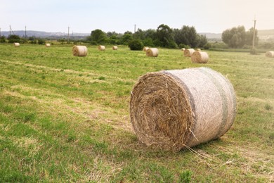 Photo of Hay bale on green grass in field. Space for text