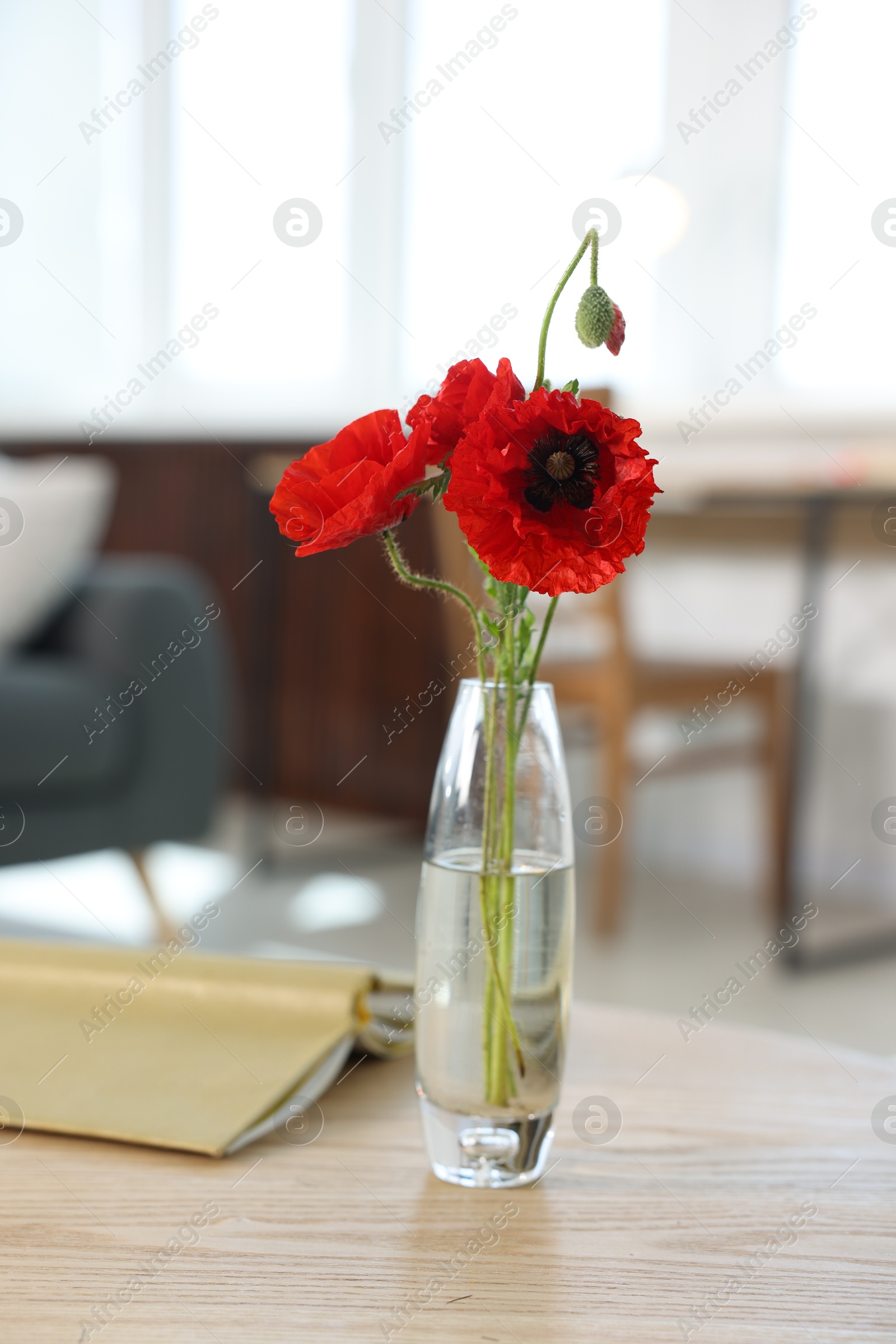 Beautiful poppy flowers in vase and book on wooden table at home Photo of Beautiful poppy flowers in vase and book on wooden table at home