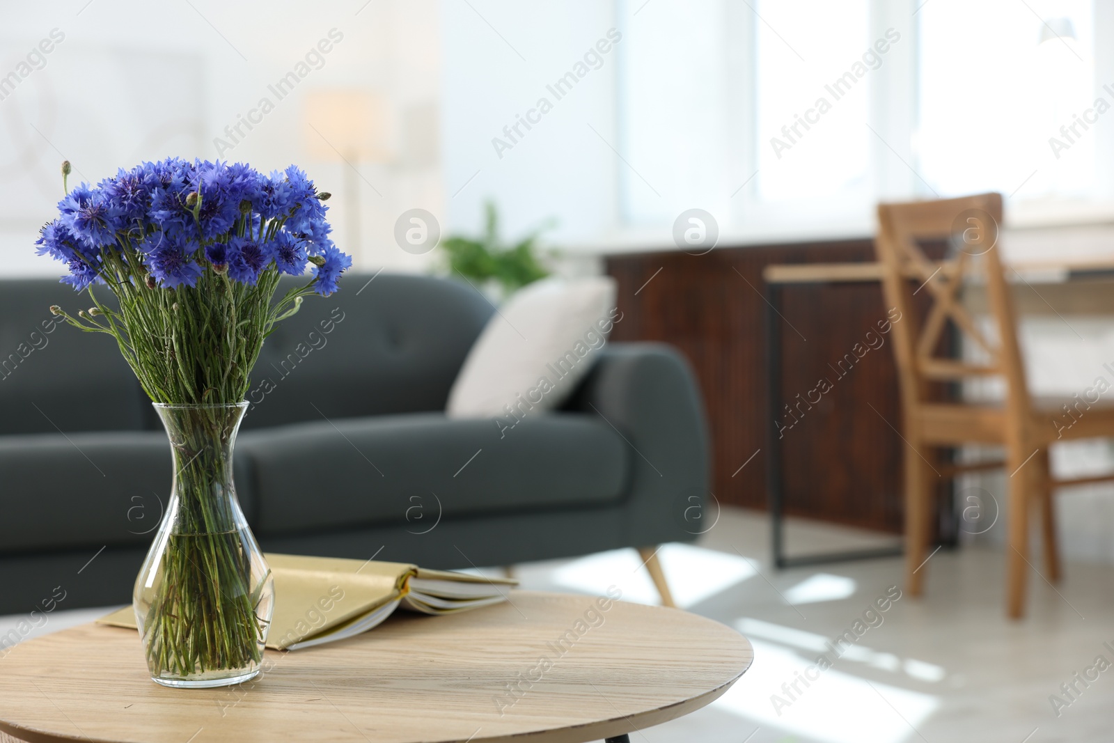 Beautiful blue cornflowers in vase and book on wooden table at home. Space for text Photo of Beautiful blue cornflowers in vase and book on wooden table at home. Space for text