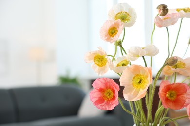 Photo of Beautiful poppy flowers in vase indoors, closeup. Space for text