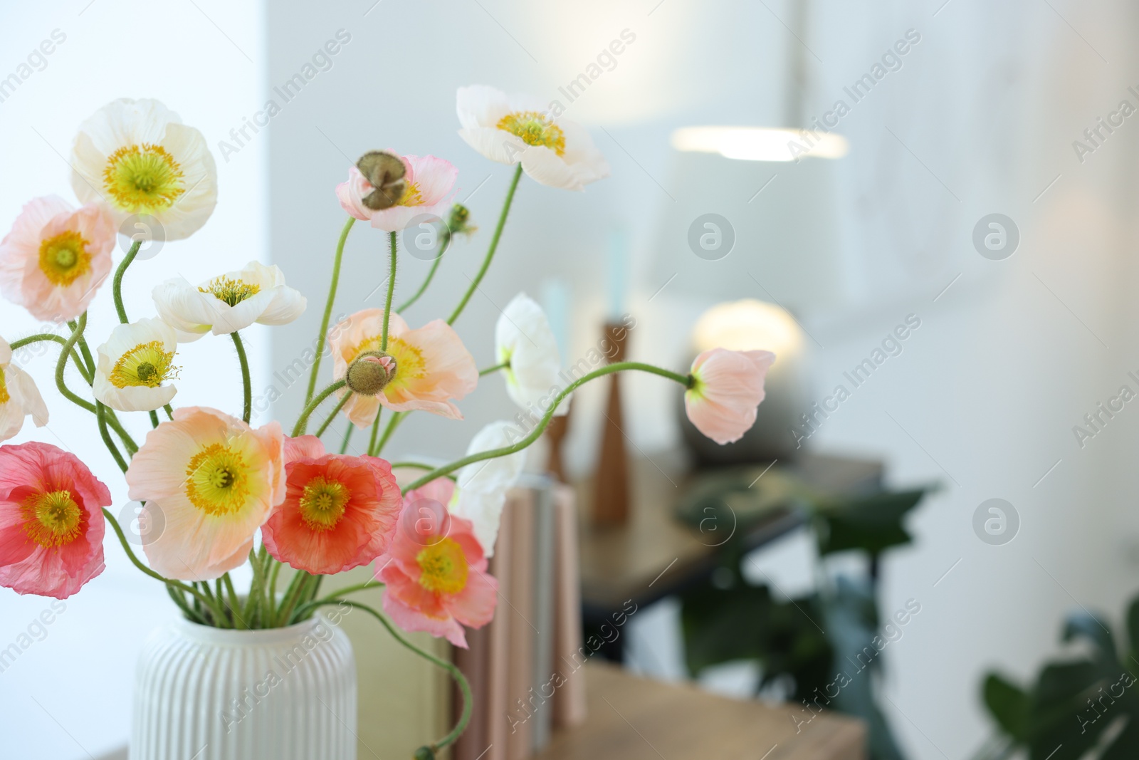 Photo of Beautiful poppy flowers in vase indoors, closeup. Space for text