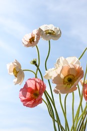 Photo of Beautiful poppy flowers against blue sky, closeup