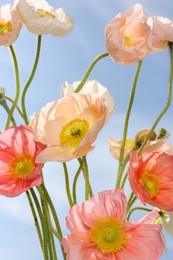 Photo of Beautiful poppy flowers against blue sky, closeup