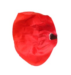 Photo of Petal of red poppy flower isolated on white