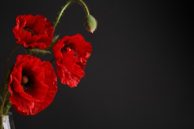 Photo of Beautiful red poppy flowers on black background, closeup. Space for text