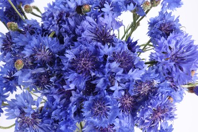 Photo of Bouquet of beautiful blue cornflowers on white background, closeup