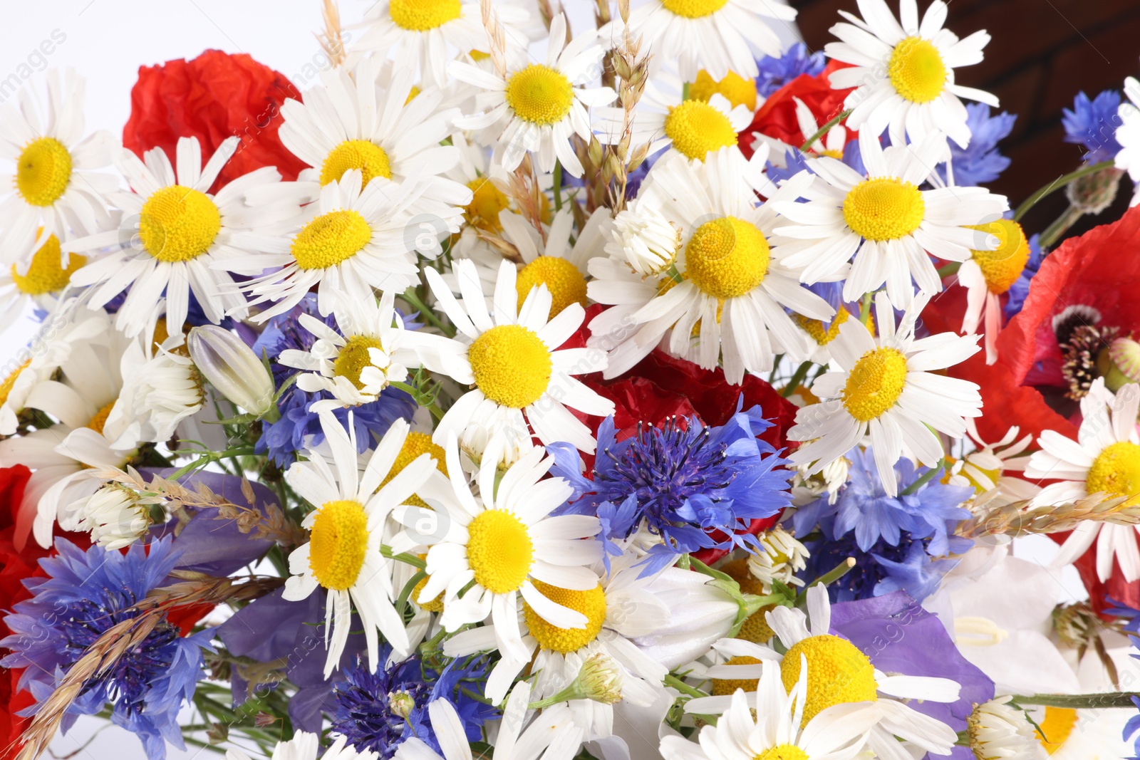 Photo of Bouquet of beautiful wildflowers on white background, closeup