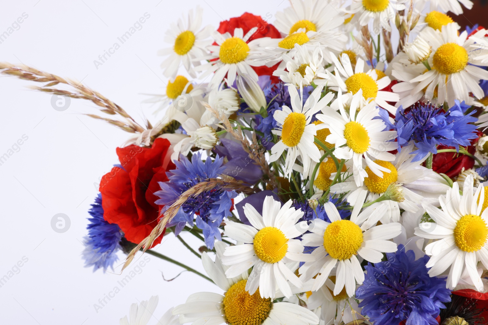 Photo of Bouquet of beautiful wildflowers on white background, closeup
