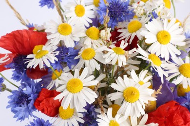 Photo of Bouquet of beautiful wildflowers on white background, closeup
