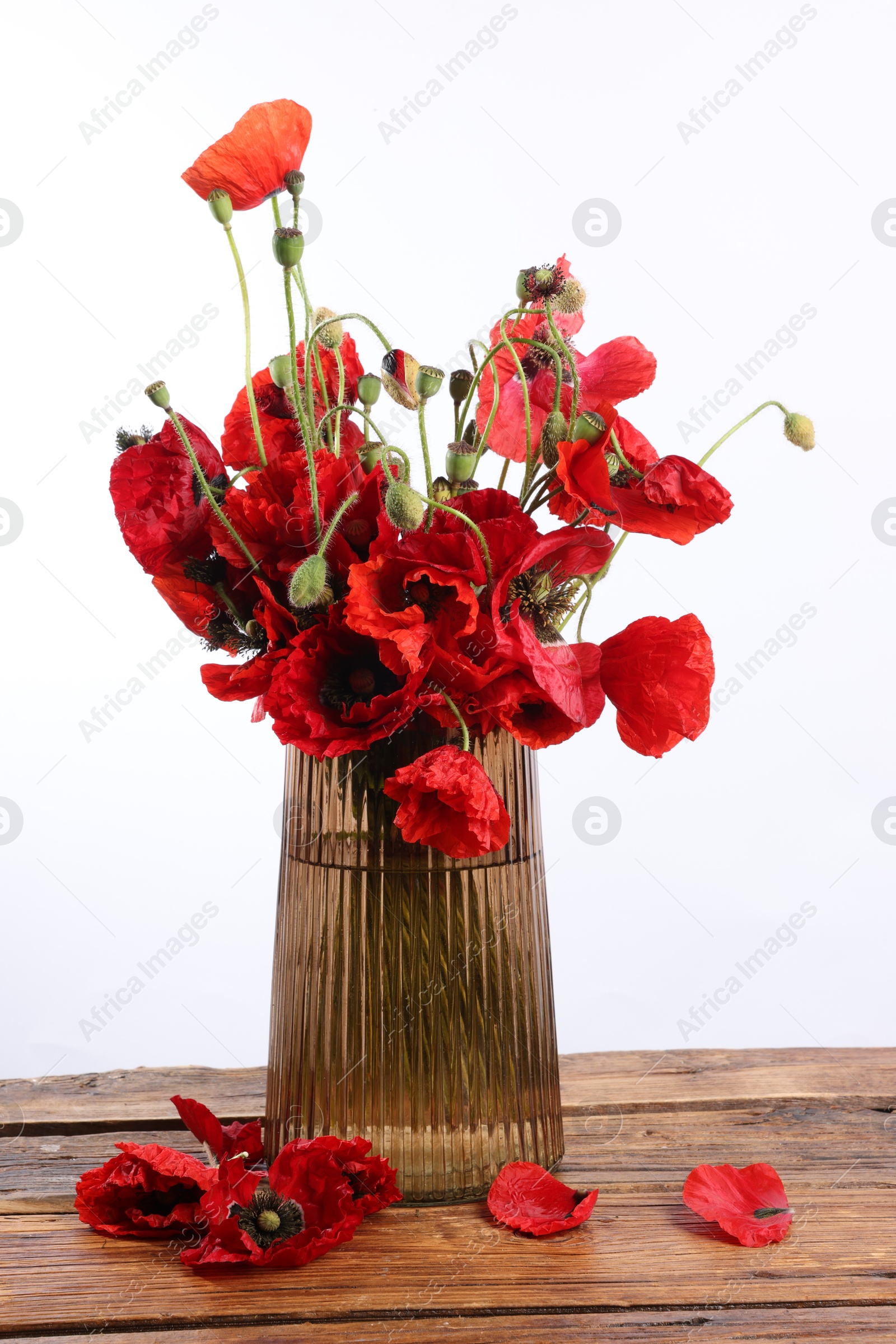 Beautiful red poppy flowers in vase on wooden table against white background Photo of Beautiful red poppy flowers in vase on wooden table against white background