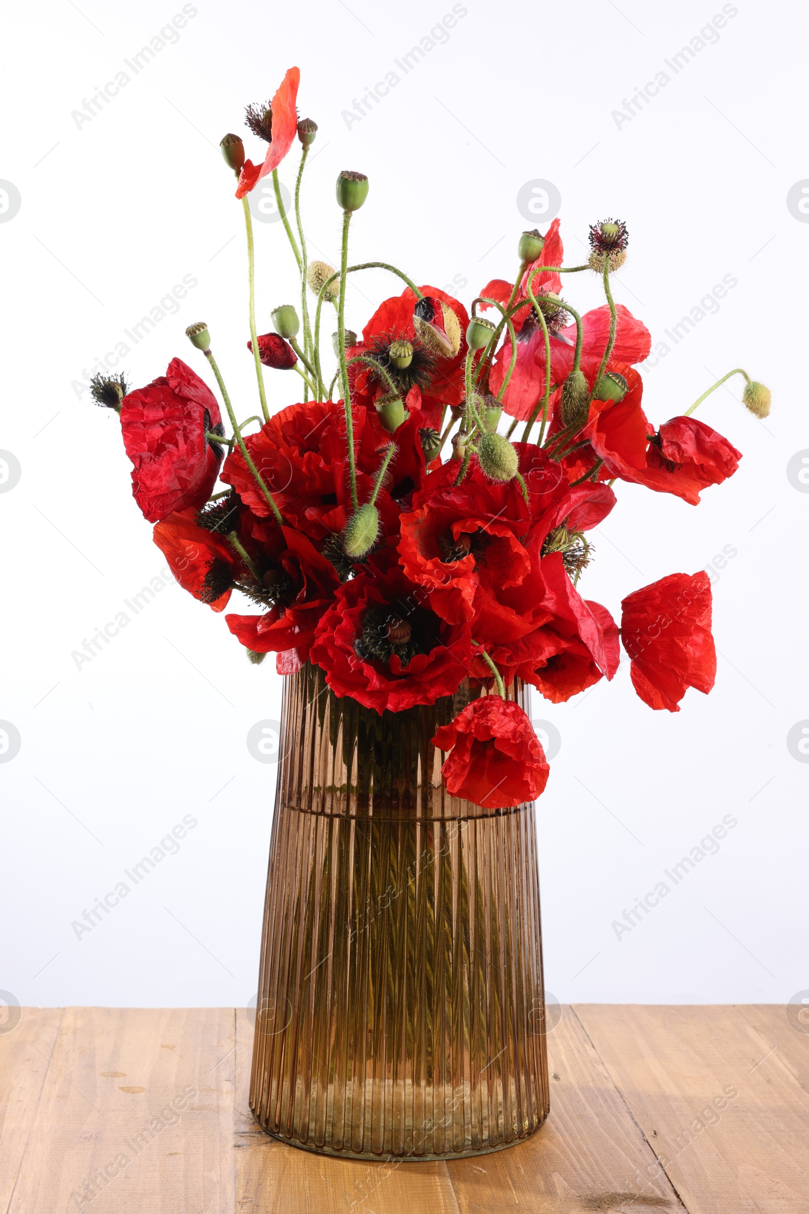 Beautiful red poppy flowers in vase on wooden table against white background Photo of Beautiful red poppy flowers in vase on wooden table against white background