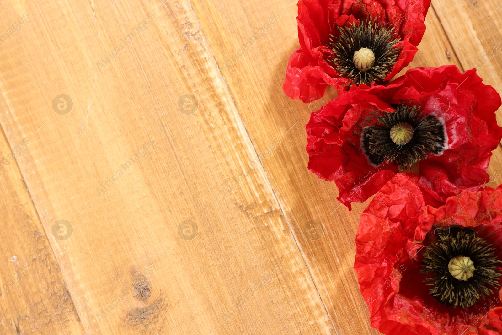 Beautiful red poppy flowers on wooden table, flat lay. Space for text Photo of Beautiful red poppy flowers on wooden table, flat lay. Space for text