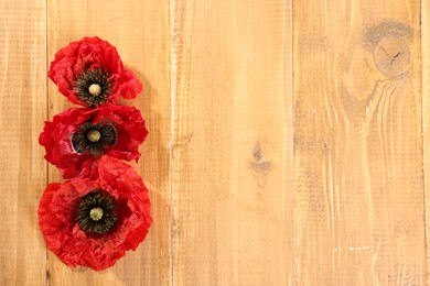 Photo of Beautiful red poppy flowers on wooden table, flat lay. Space for text