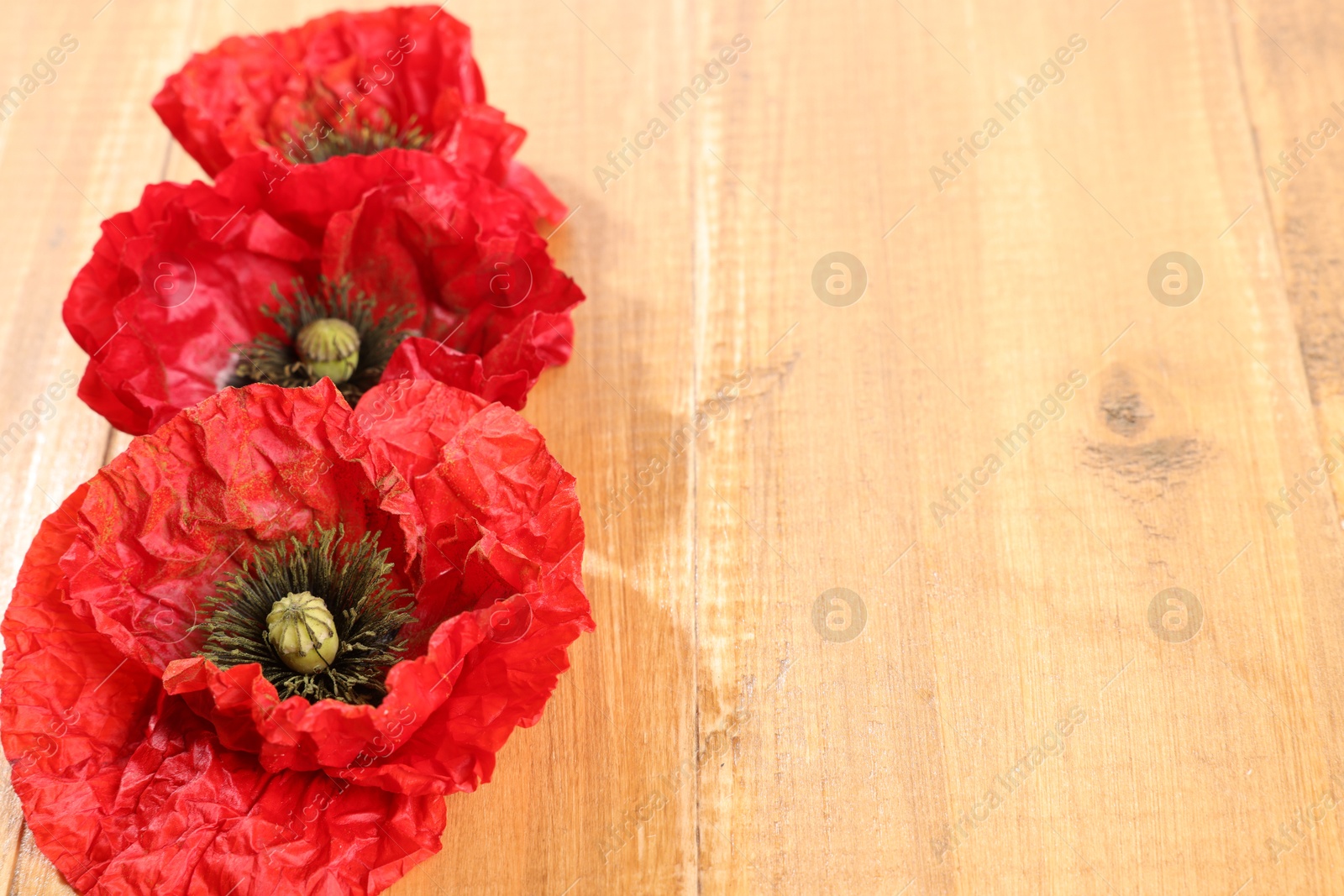 Beautiful red poppy flowers on wooden table, closeup. Space for text Photo of Beautiful red poppy flowers on wooden table, closeup. Space for text